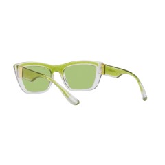 Dolce & Gabbana DG 6171 - 3354/2 Brillo Transparente/verde