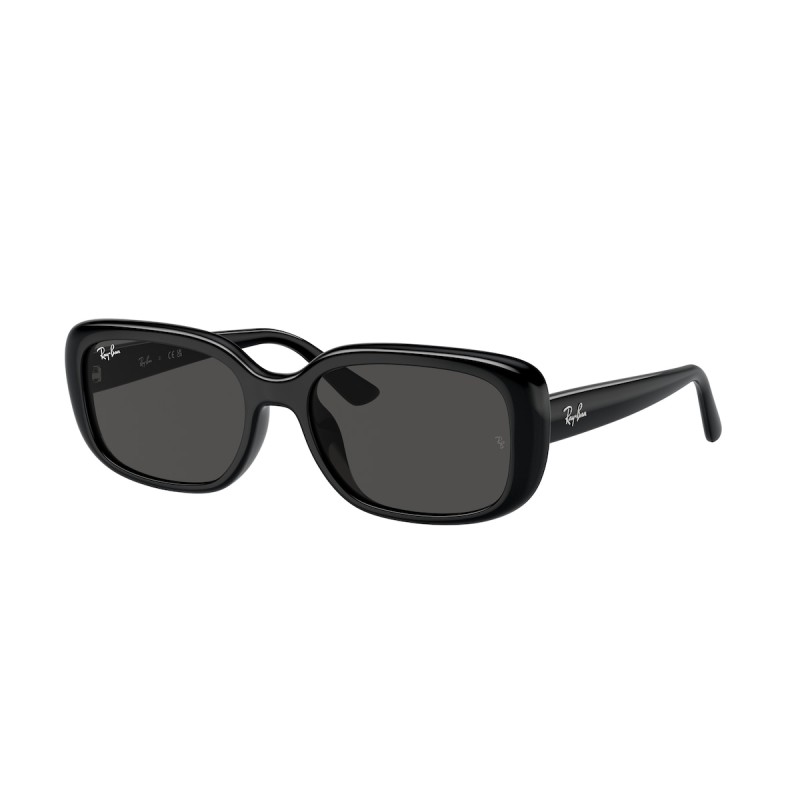Ray-Ban RB 4421D - 667787 Negro