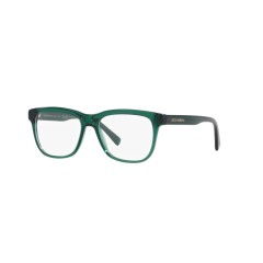 Dolce & Gabbana DX 3356 - 3008 Verde Transparente